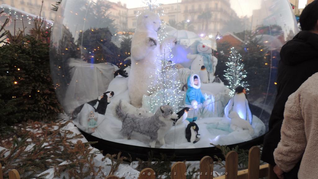 2023 12 19 TOULON AVANT NOEL (54).JPG -           